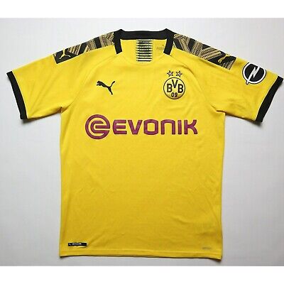 BVB GEV (Medium)